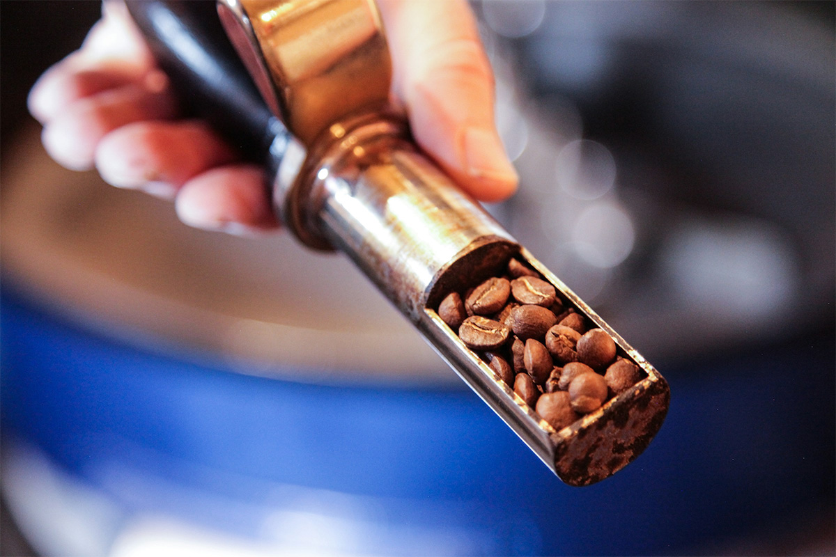 Coffee bean selection process